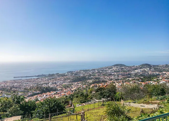 Skyline Heights By Homie Dom wakacyjny *